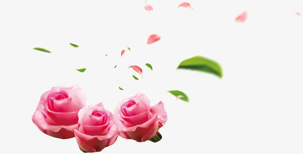 粉红色玫瑰花花瓣飞舞装饰图案免抠