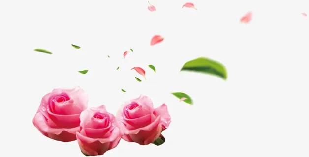 粉红色玫瑰花花瓣飞舞装饰图案免抠
