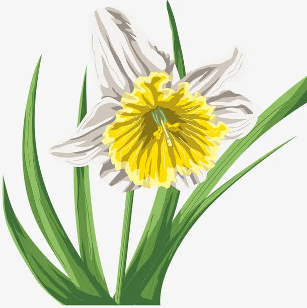 手绘花朵免抠