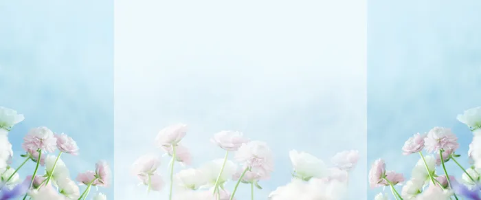 清新高清