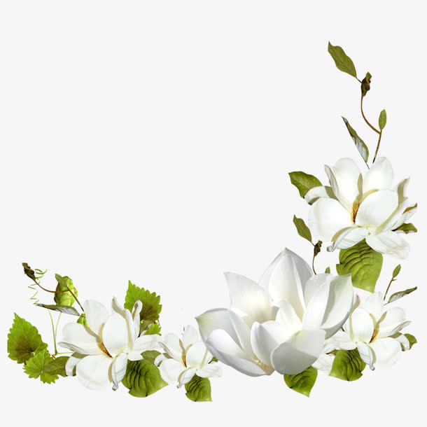 鲜花花卉装饰免抠