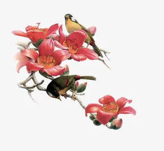 中国风花鸟免抠