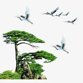 仙鹤迎客松免费图片免抠