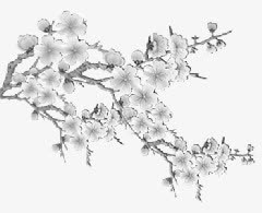 中国风水墨桃花装饰免抠
