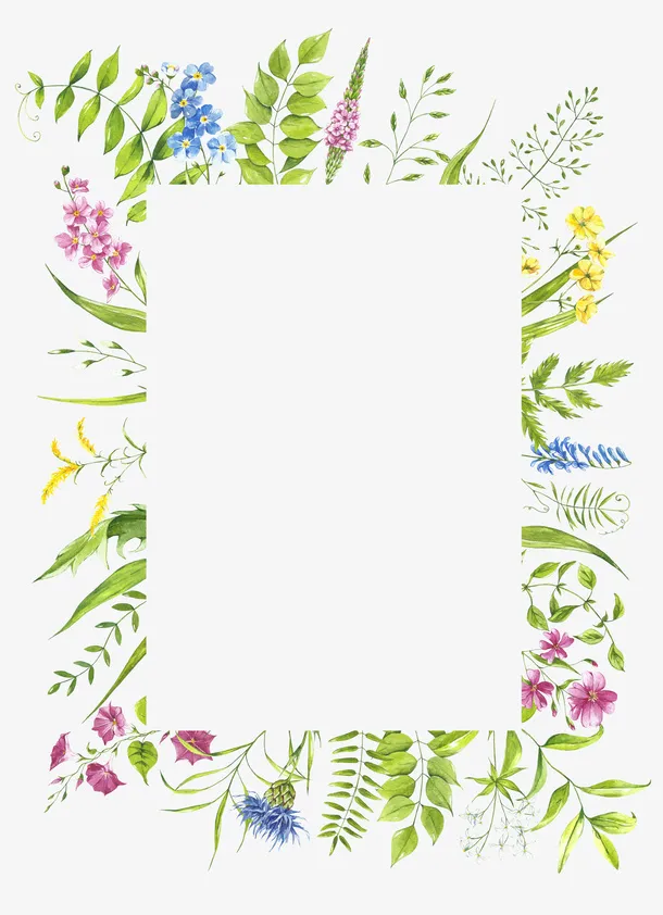 花朵绿叶手绘植物边框免抠