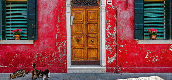 街景背景图高清