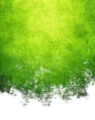 绿色清新草地背景高清