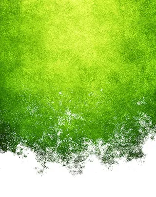 绿色清新草地背景高清