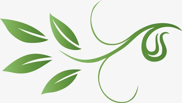 绿色创意藤蔓装饰png图免抠