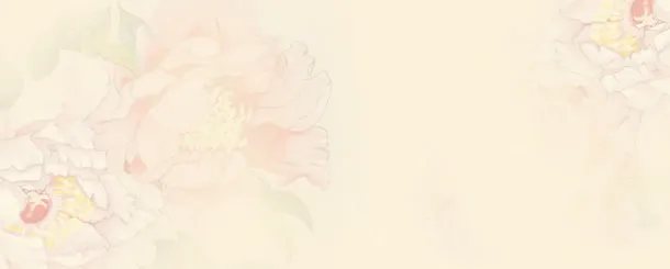淘宝背景
