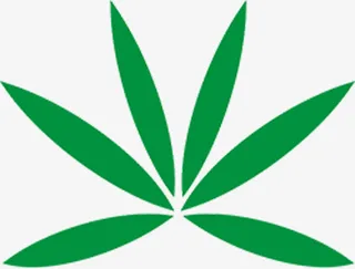 绿叶素材，多个弧形叠加免抠