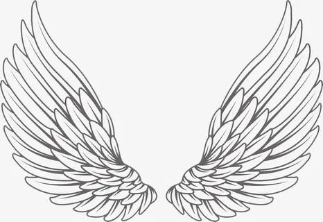 白色手绘的翅膀免抠