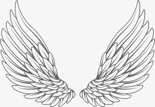 白色手绘的翅膀免抠
