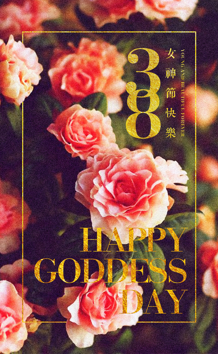 唯美花朵边框H5背景高清