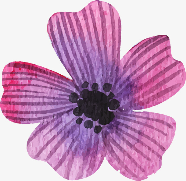 手绘花朵免抠