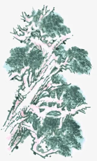 泼墨树木免抠