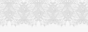 蕾丝花边纹理免抠