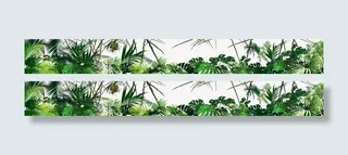 热带雨林树叶免抠