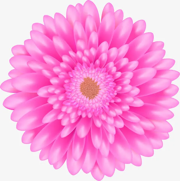 紫色清新梦幻花朵免抠