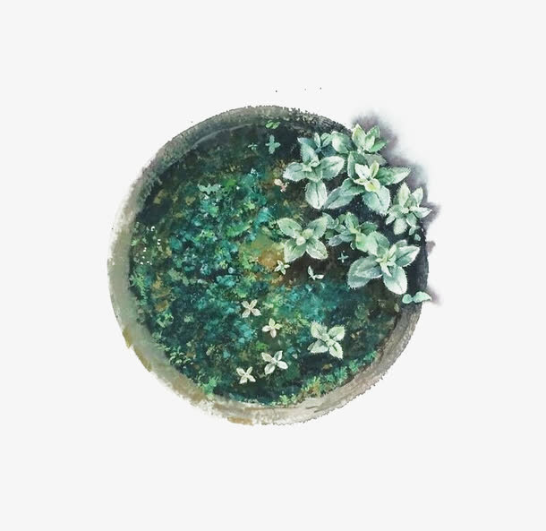 拟物盆栽装饰免抠