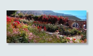 中国风彩色花朵建筑免抠