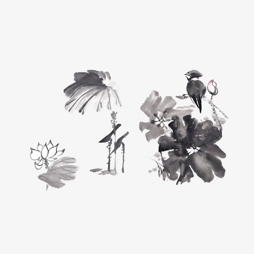荷花飞鸟免抠