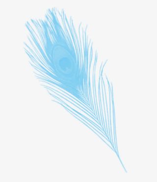 彩色羽毛免抠