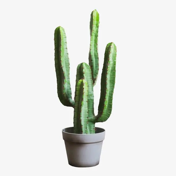 仿真大型仙人掌盆景免抠