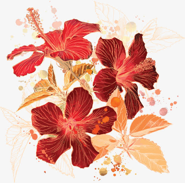 花朵合集免抠
