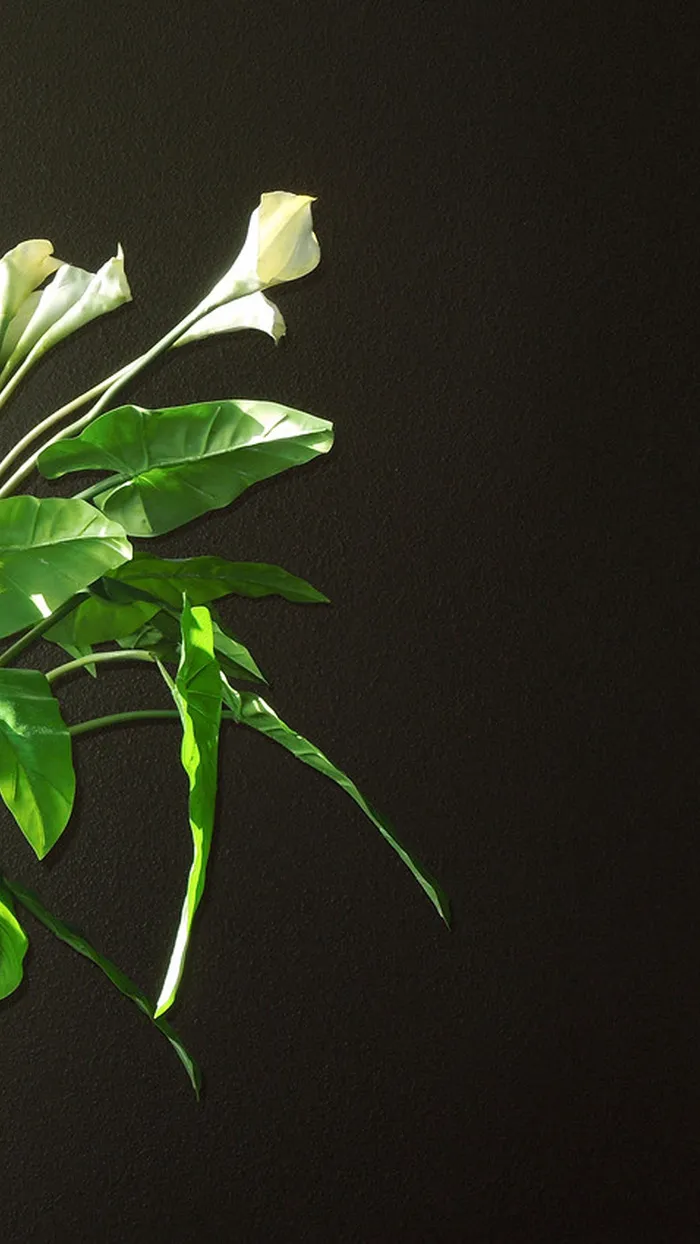 阳光照射的花朵H5背景高清