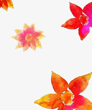 橘色花朵边框免扣素材免抠