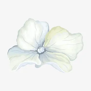 蓝色的花瓣免抠