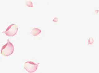偏粉色花瓣飘落中秋免抠