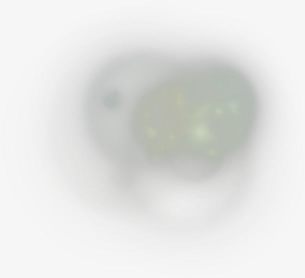 星光免抠