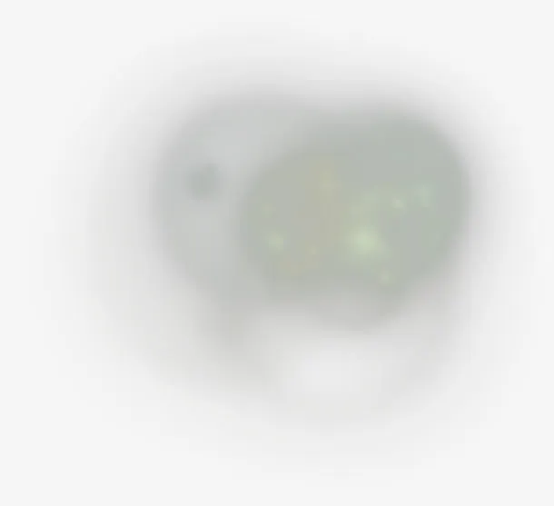 星光免抠