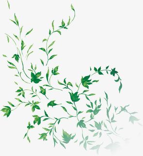 端午佳节绿色花枝素材免抠漂浮叶子元素