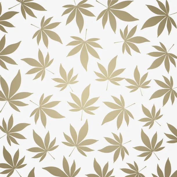 树叶底纹免抠