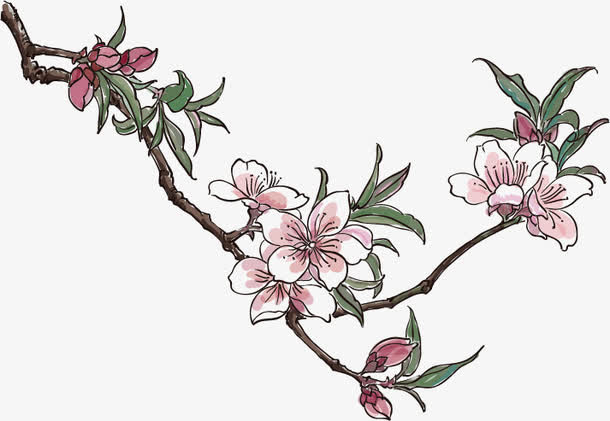 工笔画桃花素材免抠