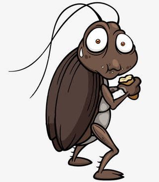 吃东西的蟑螂免抠