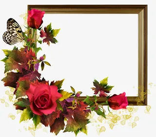 玫瑰花相框免抠