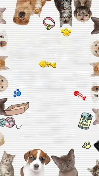 简约宠物美容店开业H5背景素材高清