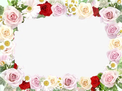 花卉边框免抠