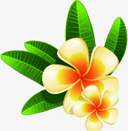 黄色花朵配绿叶免抠
