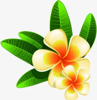 黄色花朵配绿叶免抠