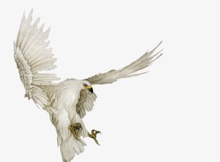 工笔画免扣素材17免抠