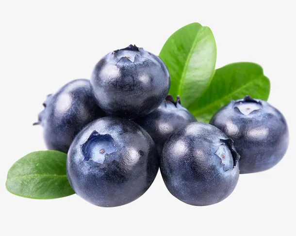 高清水果蓝莓免抠