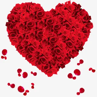 玫瑰花束心形礼盒免抠