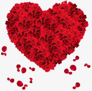 玫瑰花束心形礼盒免抠