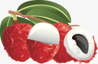 可爱水彩手绘荔枝矢量图免抠