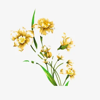 手绘黄色野花带绿叶素材免抠